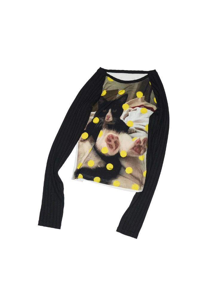 Cat Print Raglan Sleeve Color-Blocking T-Shirt