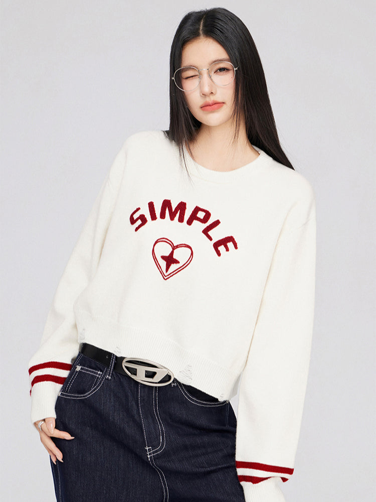 3D Embroidered Distressed Sweater - CHINASQUAD
