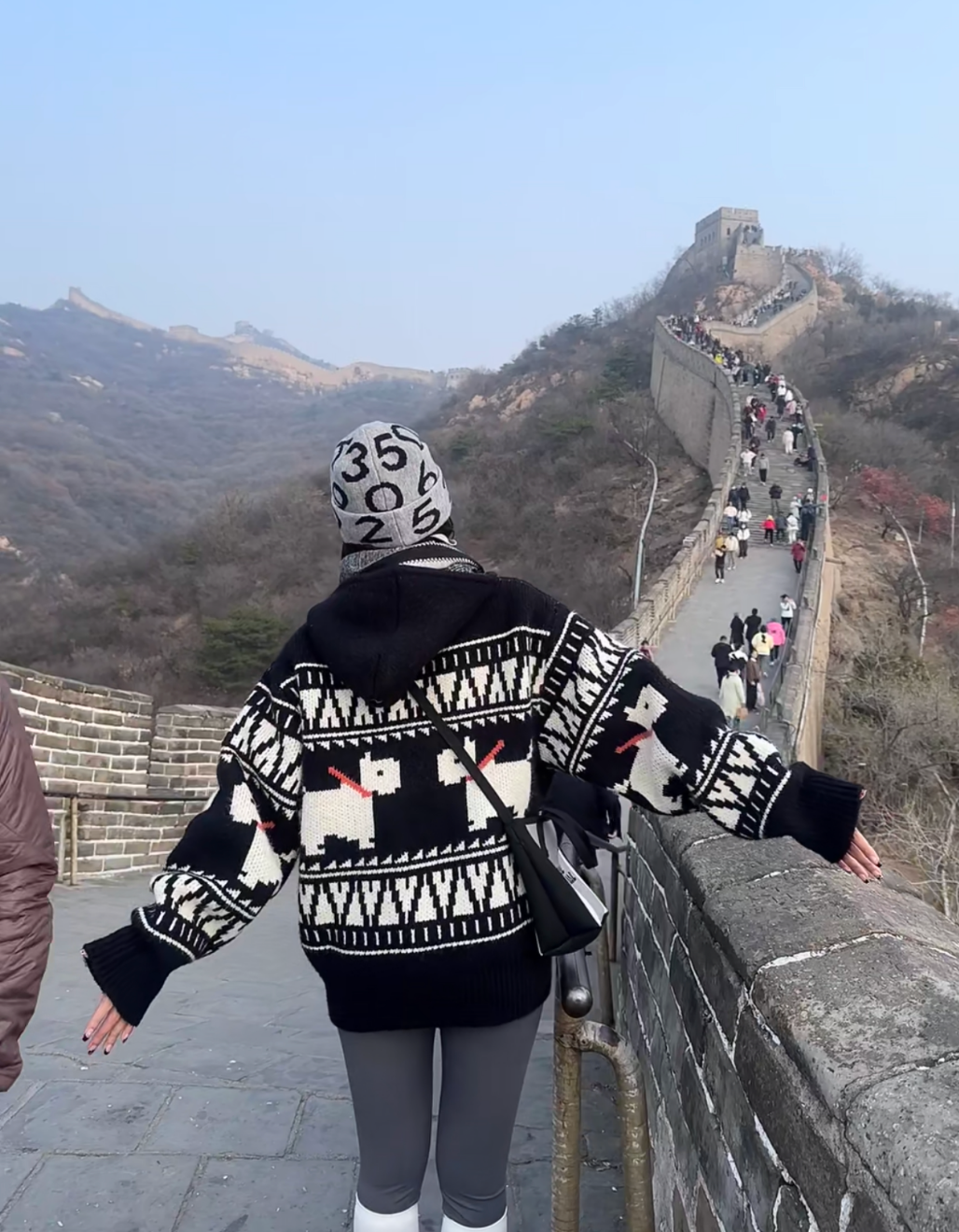 Mosaic Terrier Hooded Cardigan