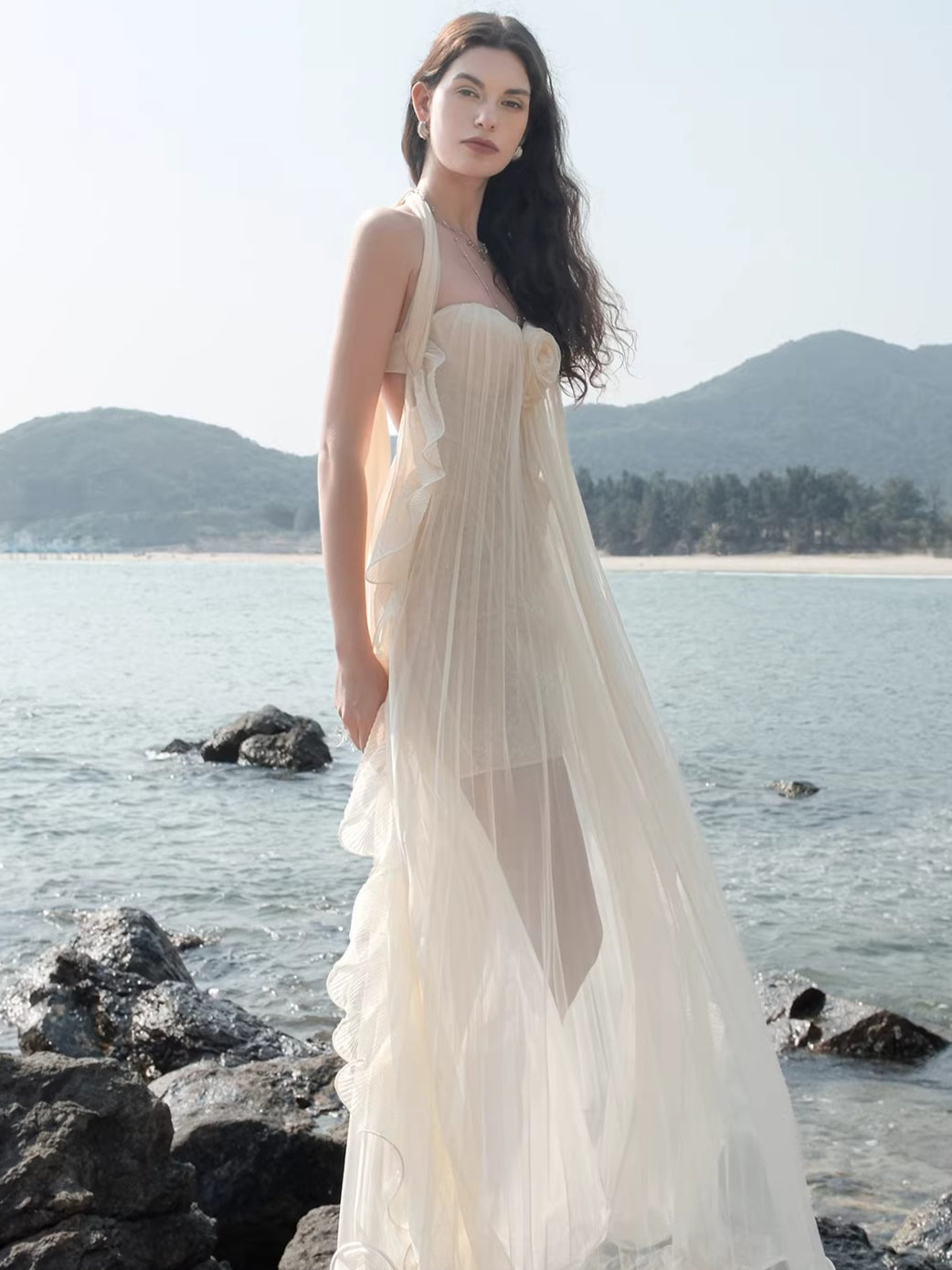 Mesh Halter Backless Strapless Maxi Dress