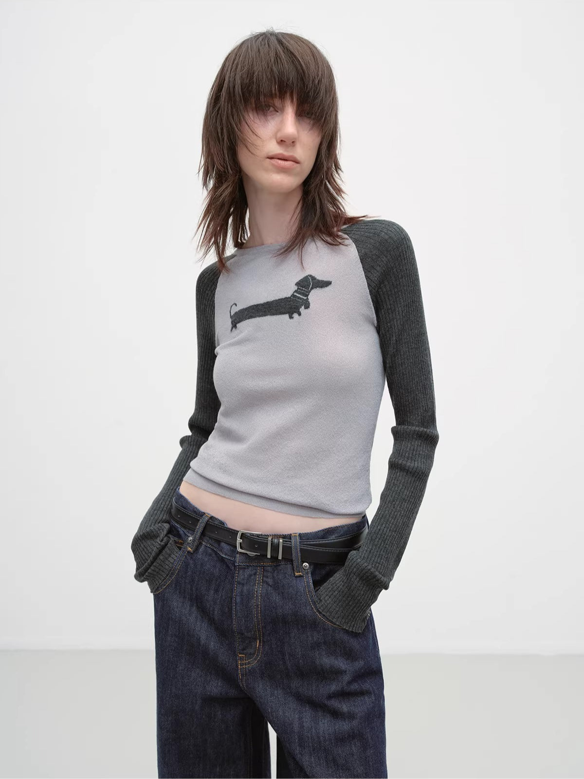 Dachshund Raglan Long-Sleeve Knit T-Shirt