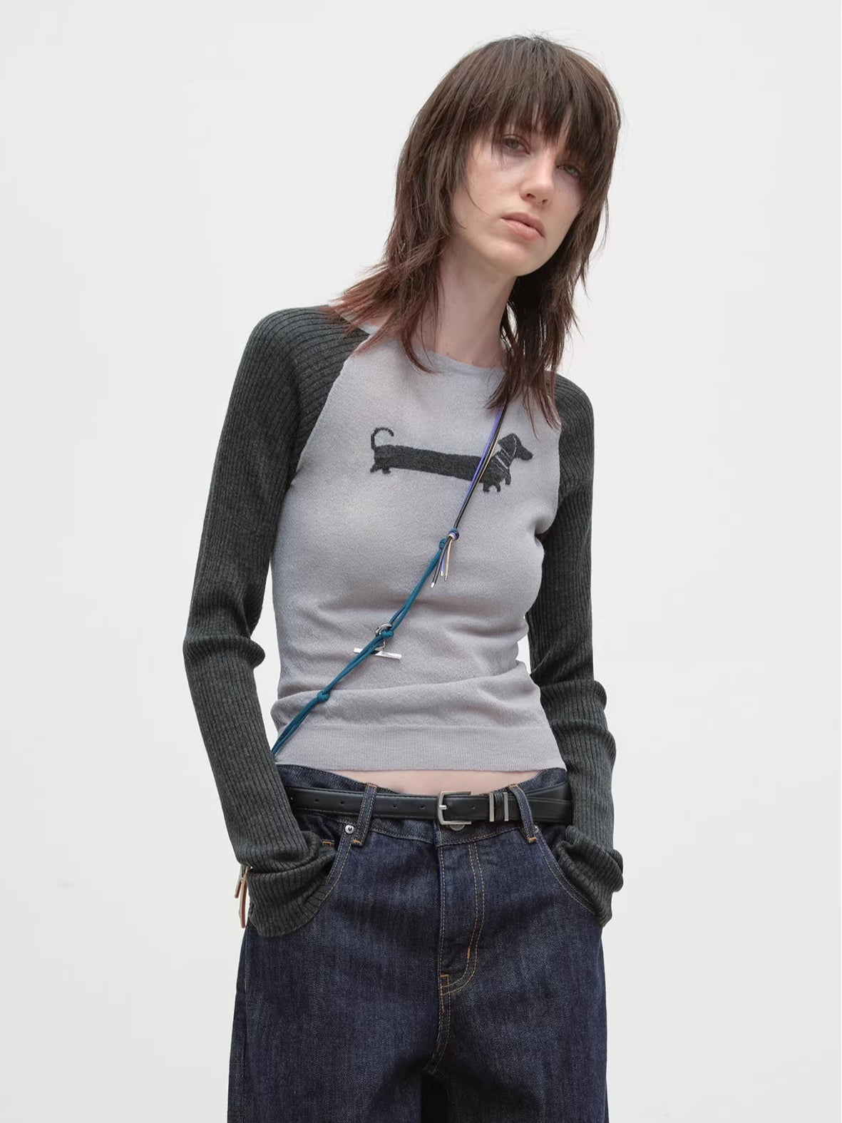 Dachshund Raglan Long-Sleeve Knit T-Shirt