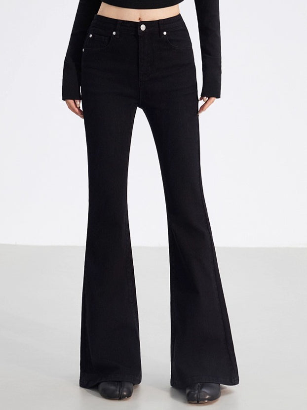 Embroidered Flared Denim Pants
