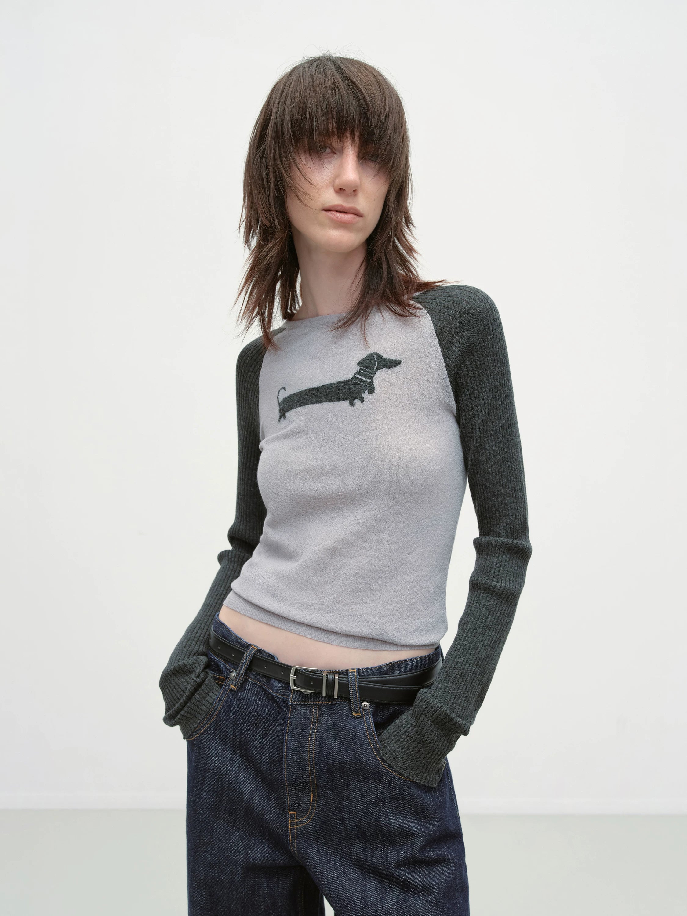 Dachshund Raglan Long-Sleeve Knit T-Shirt