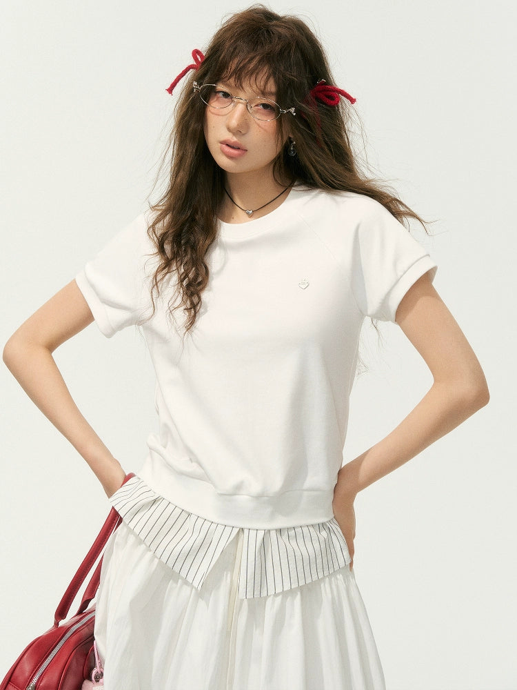 Stripe Patchwork Raglan Sleeve T-shirt