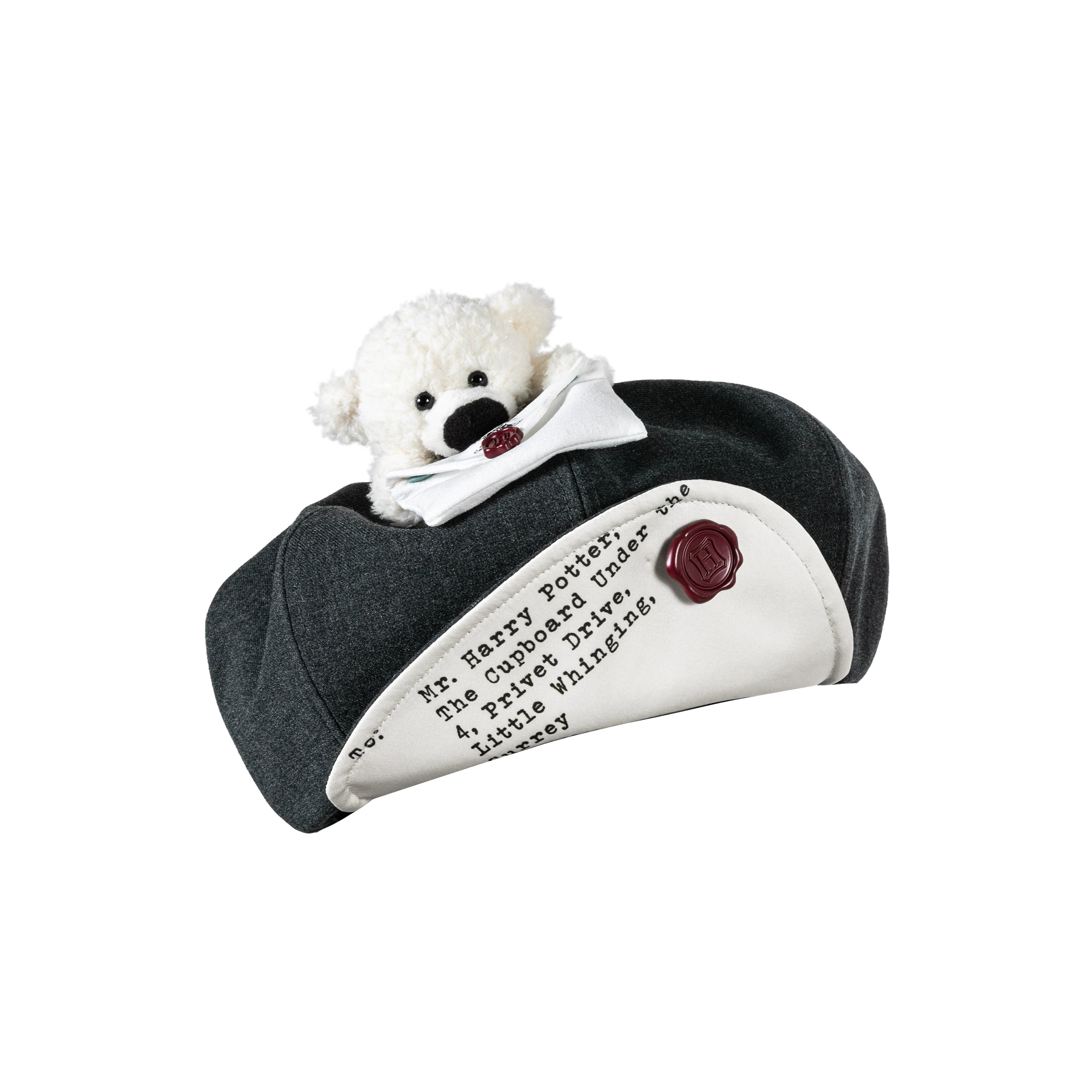 Hogwarts Acceptance Letter Hat