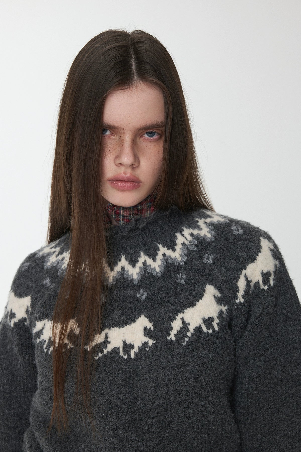 Fair Isle Pony Jacquard Chunky Knit Sweater