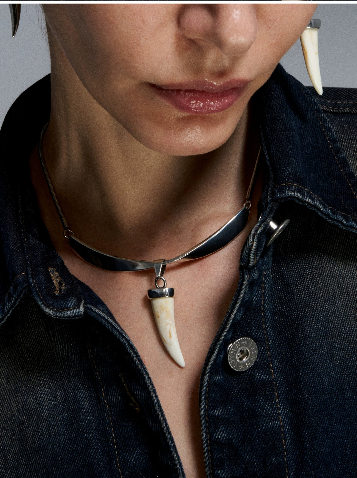 Silver Fang & Horn Reshaped Romance Vintage Necklace - CHINASQUAD