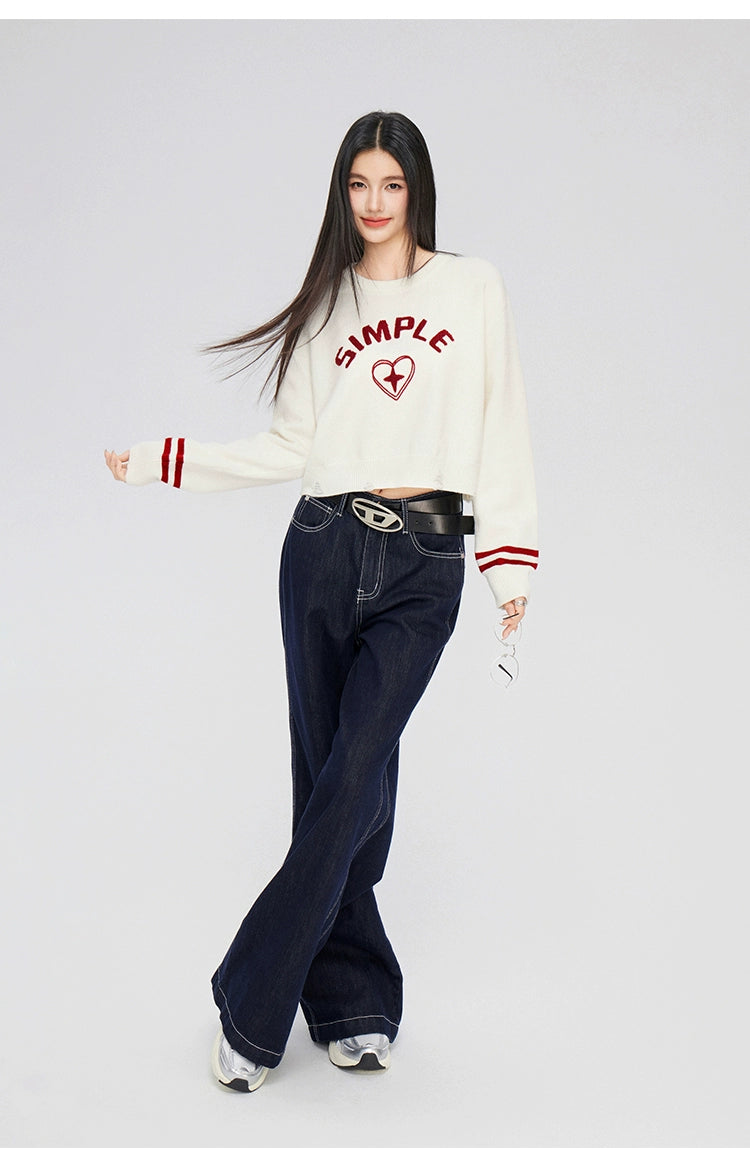 3D Embroidered Distressed Sweater