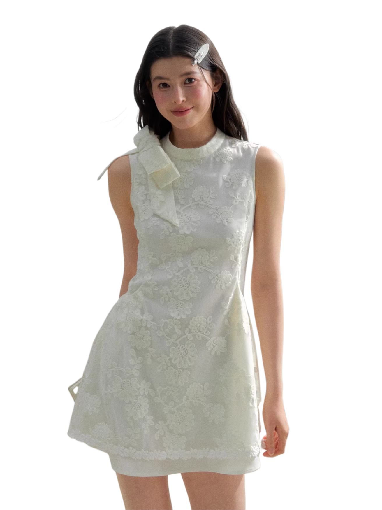 Spring Whisper Lace Embroidered Dress