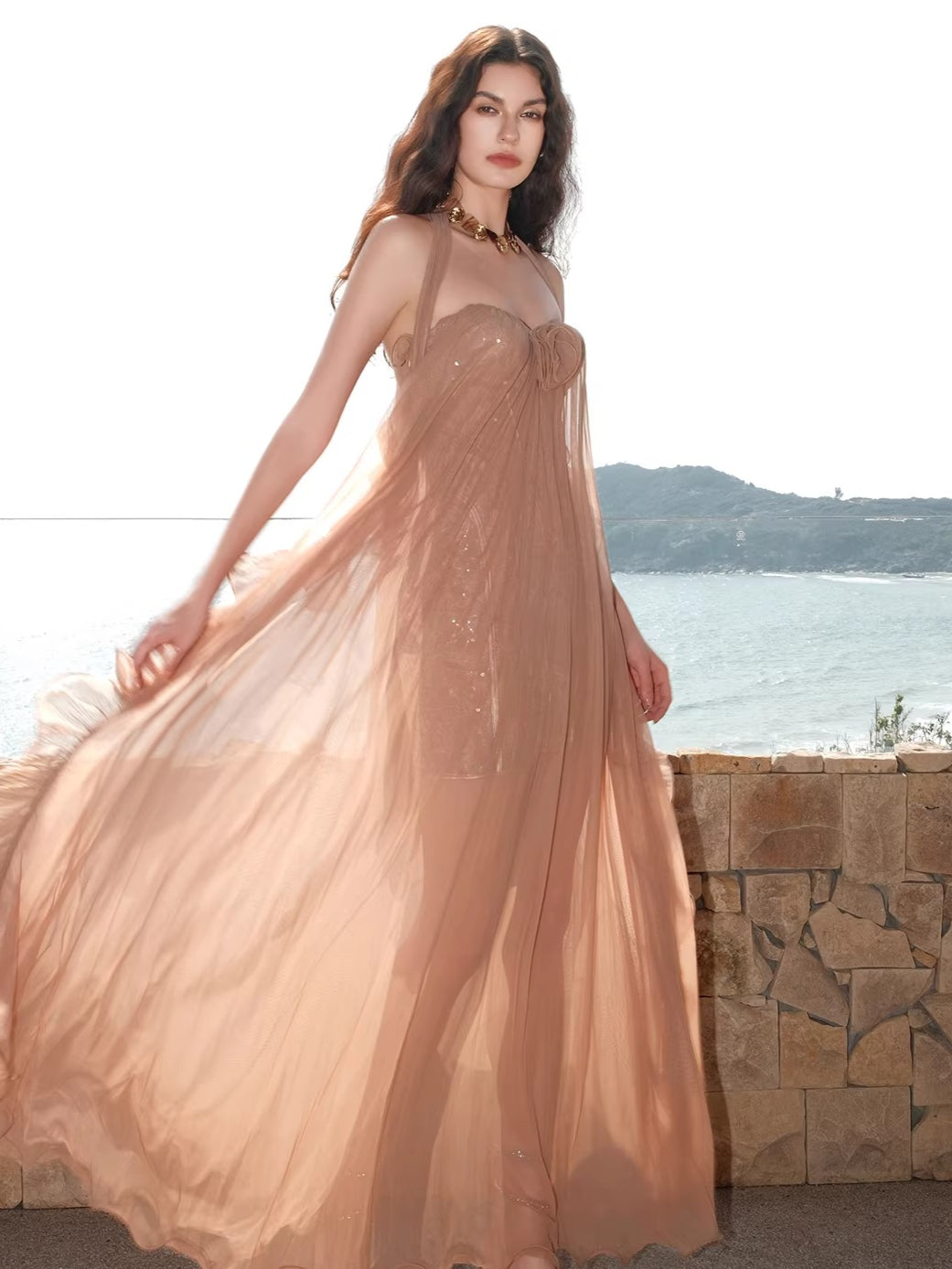 Mesh Halter Backless Strapless Maxi Dress