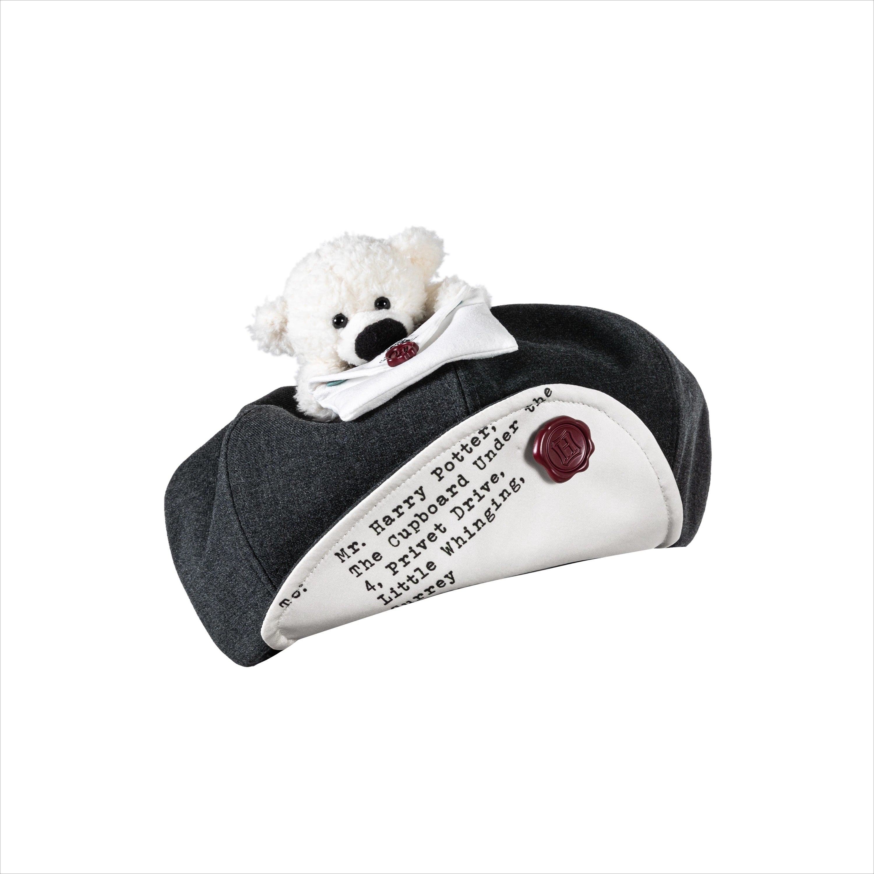 Hogwarts Acceptance Letter Hat