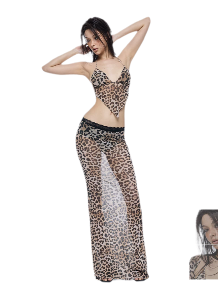Leopard Mesh Bikini Set
