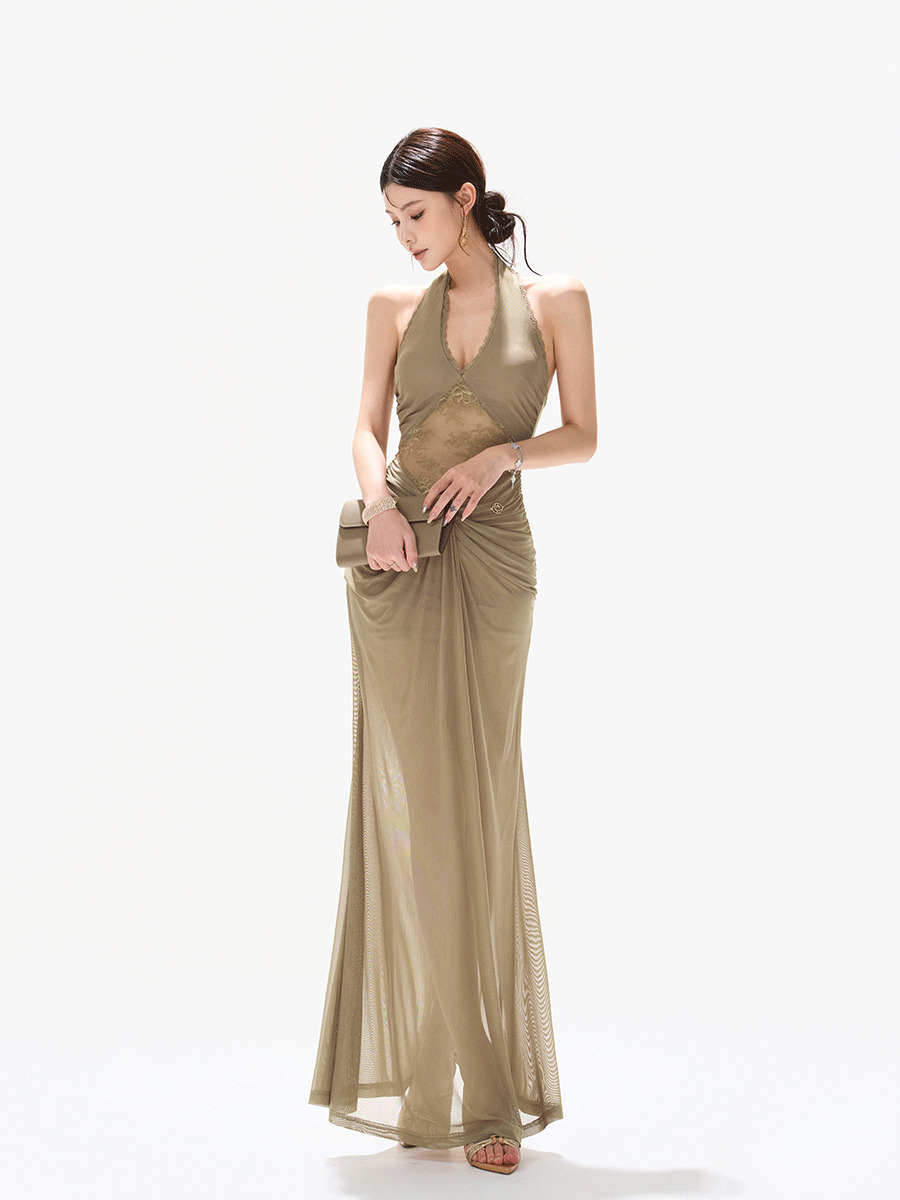 Deep V Halter Neck Lace Mesh Backless Long