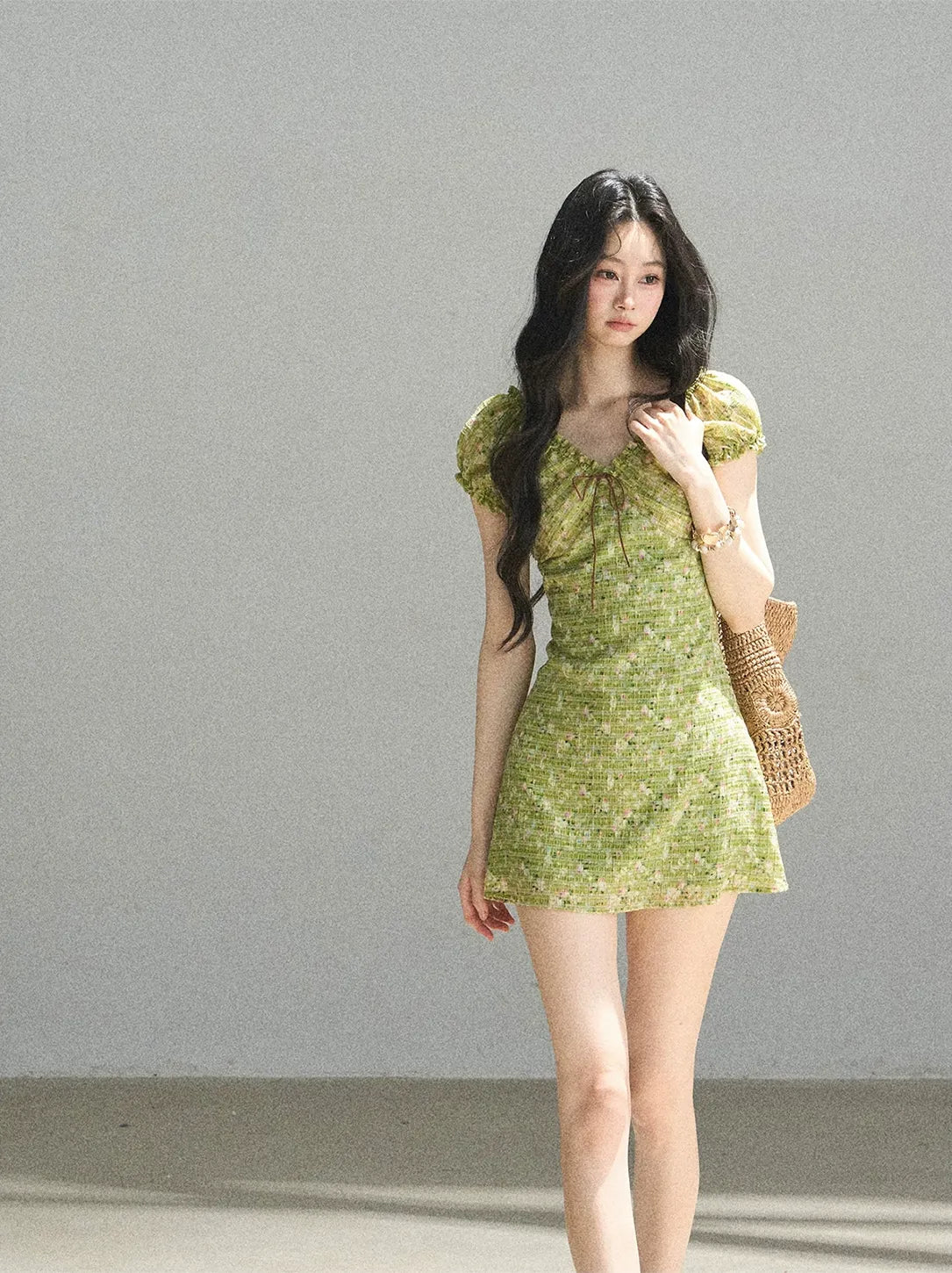 Chiffon Embroidered Mini Dress