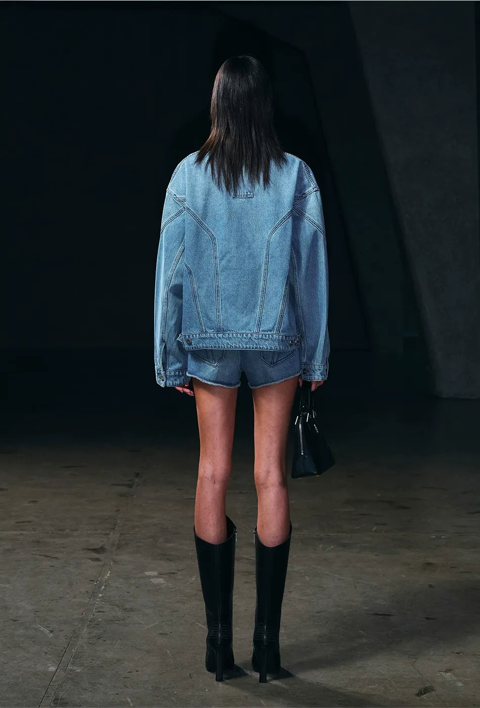 Wild Phantom Low Waist Denim Shorts