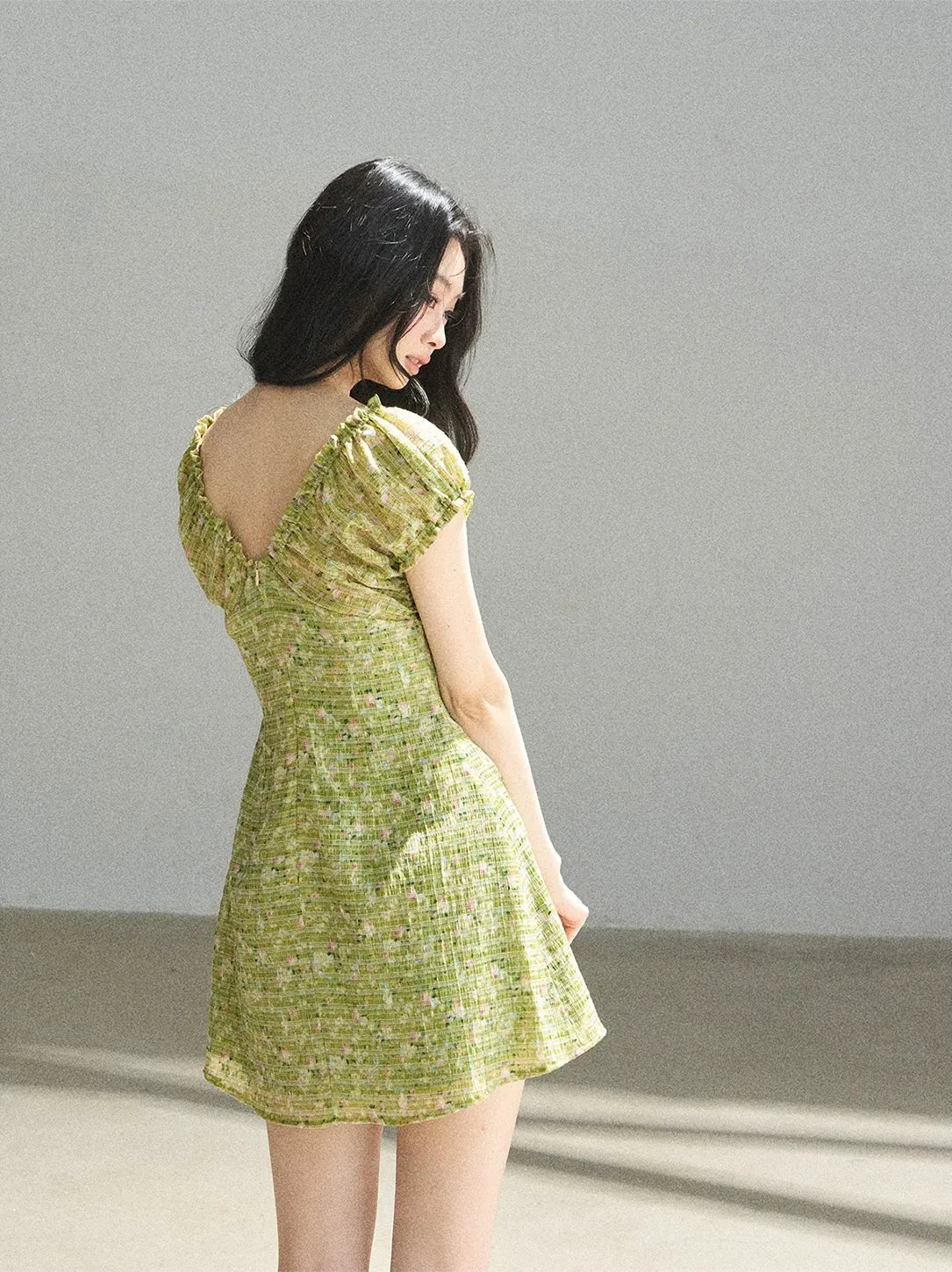 Chiffon Embroidered Mini Dress