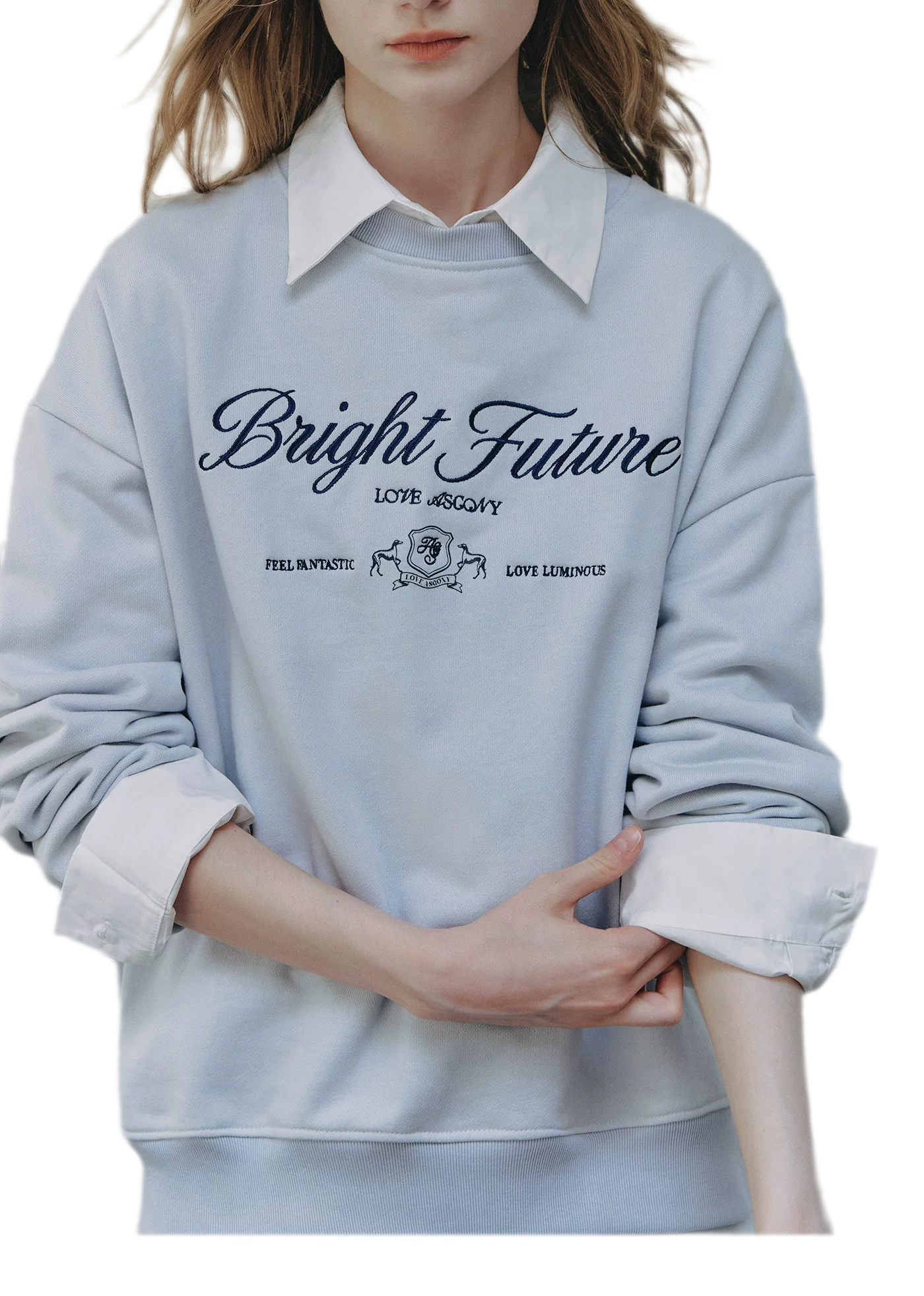 Embroidered Graphic Crewneck Sweatshirt