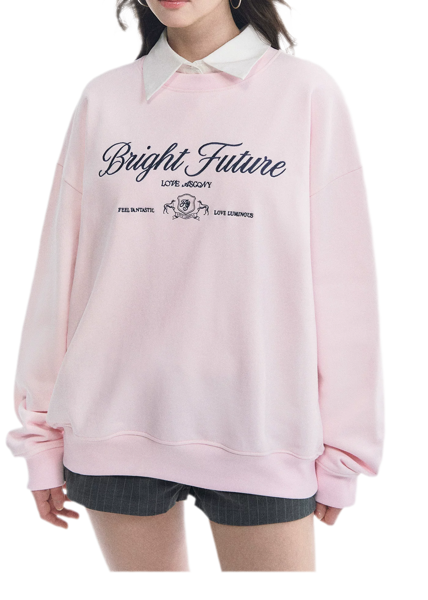 Embroidered Graphic Crewneck Sweatshirt