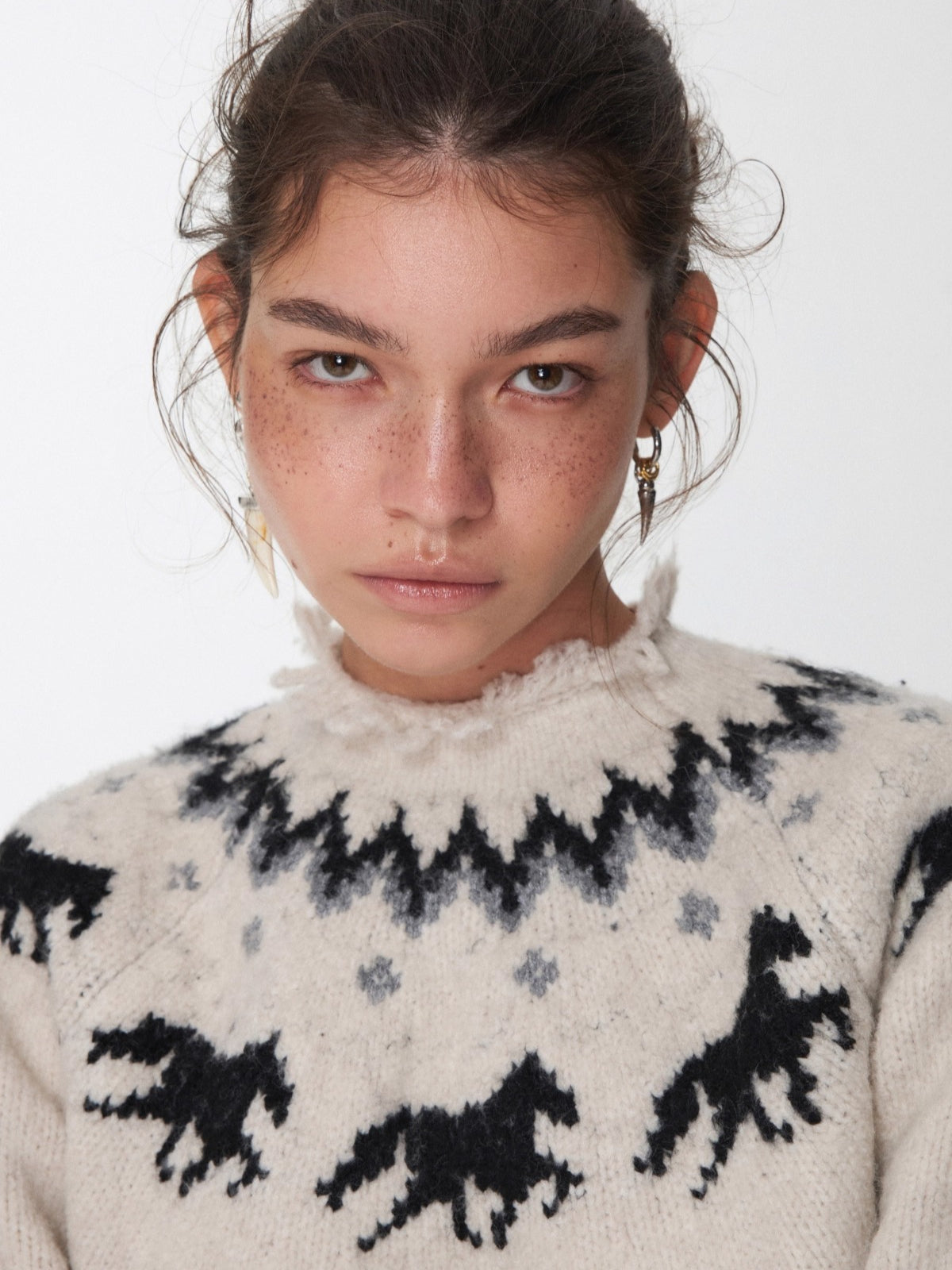 Fair Isle Pony Jacquard Chunky Knit Sweater