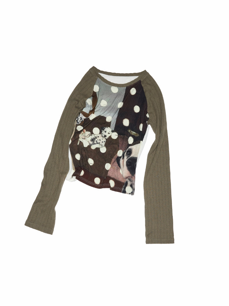 Cat Print Raglan Sleeve Color-Blocking T-Shirt
