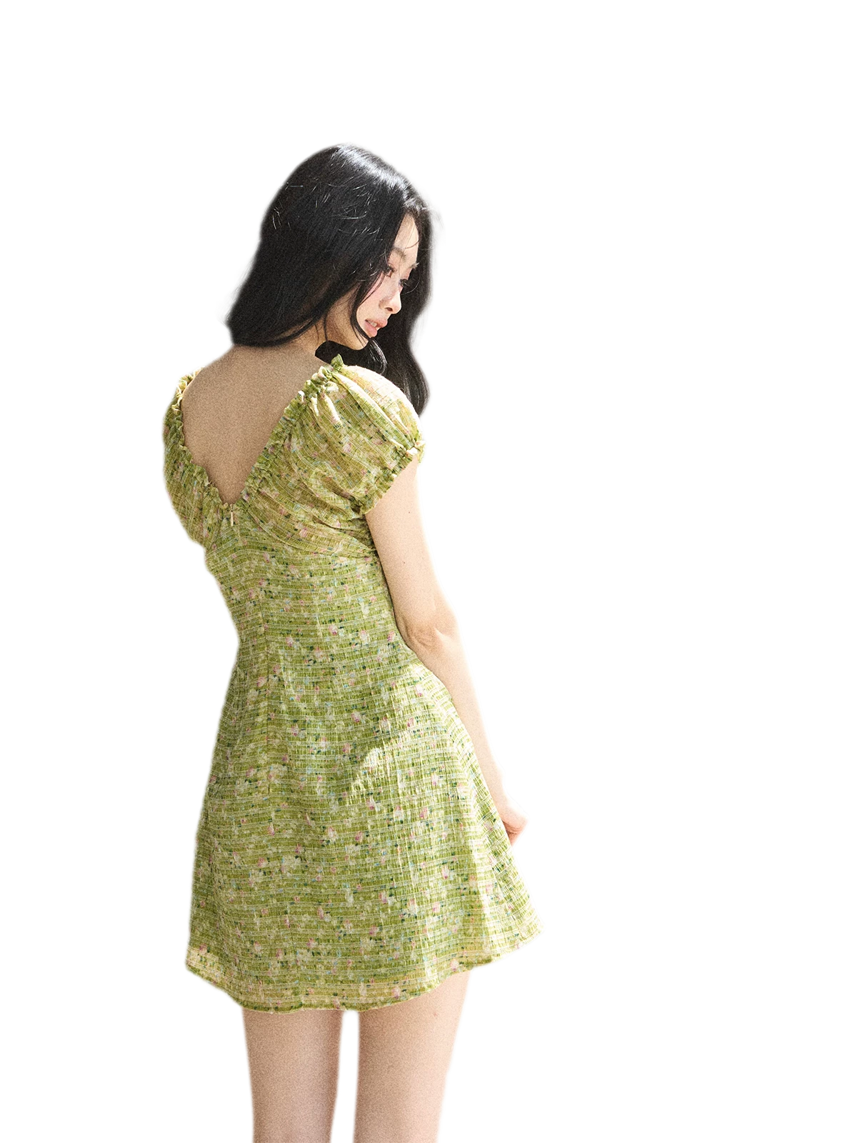 Chiffon Embroidered Mini Dress