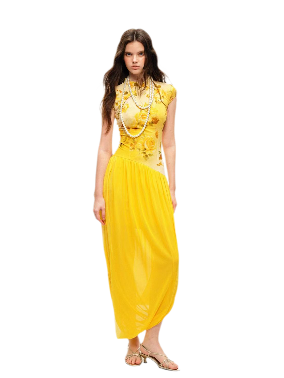 Rose Print Modern Qipao Dress