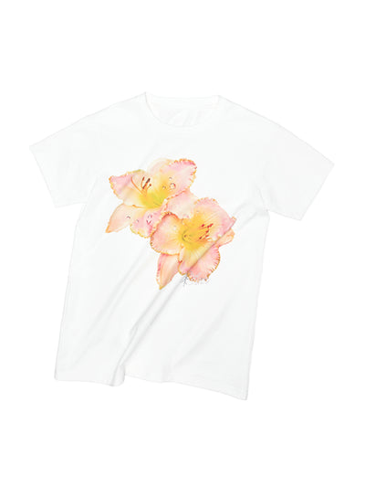 Daylily / S