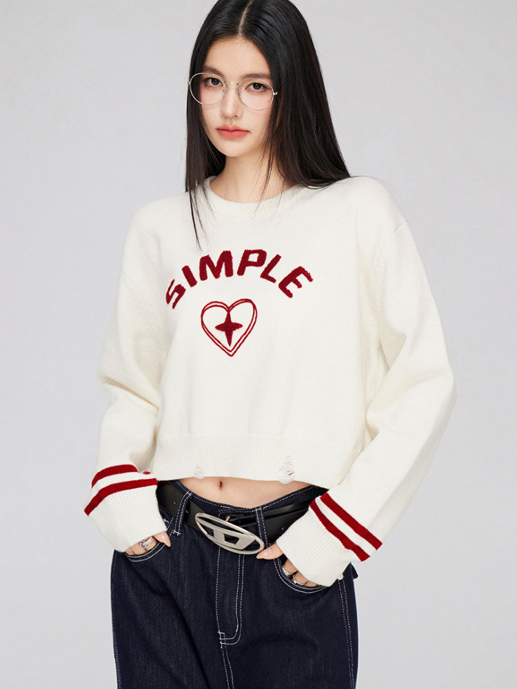 3D Embroidered Distressed Sweater