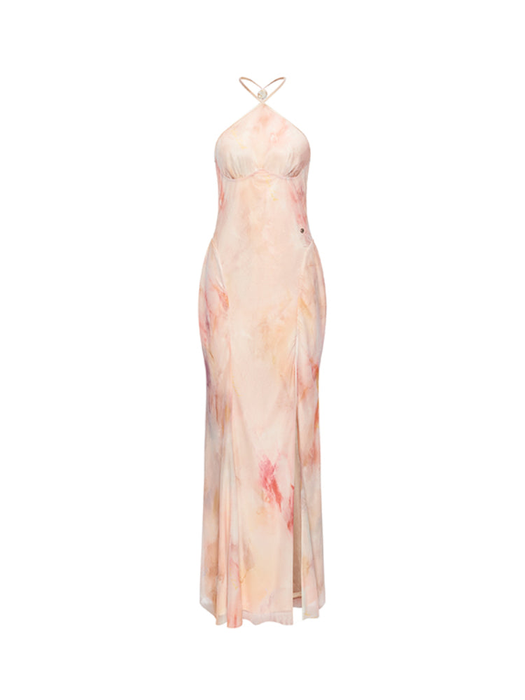 Alina Halter Neck Backless Floral Print Dress - CHINASQUAD