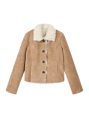 Brown (Pre-sale 10 days) / S
