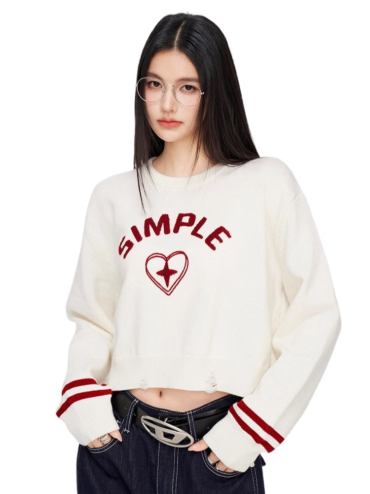 3D Embroidered Distressed Sweater