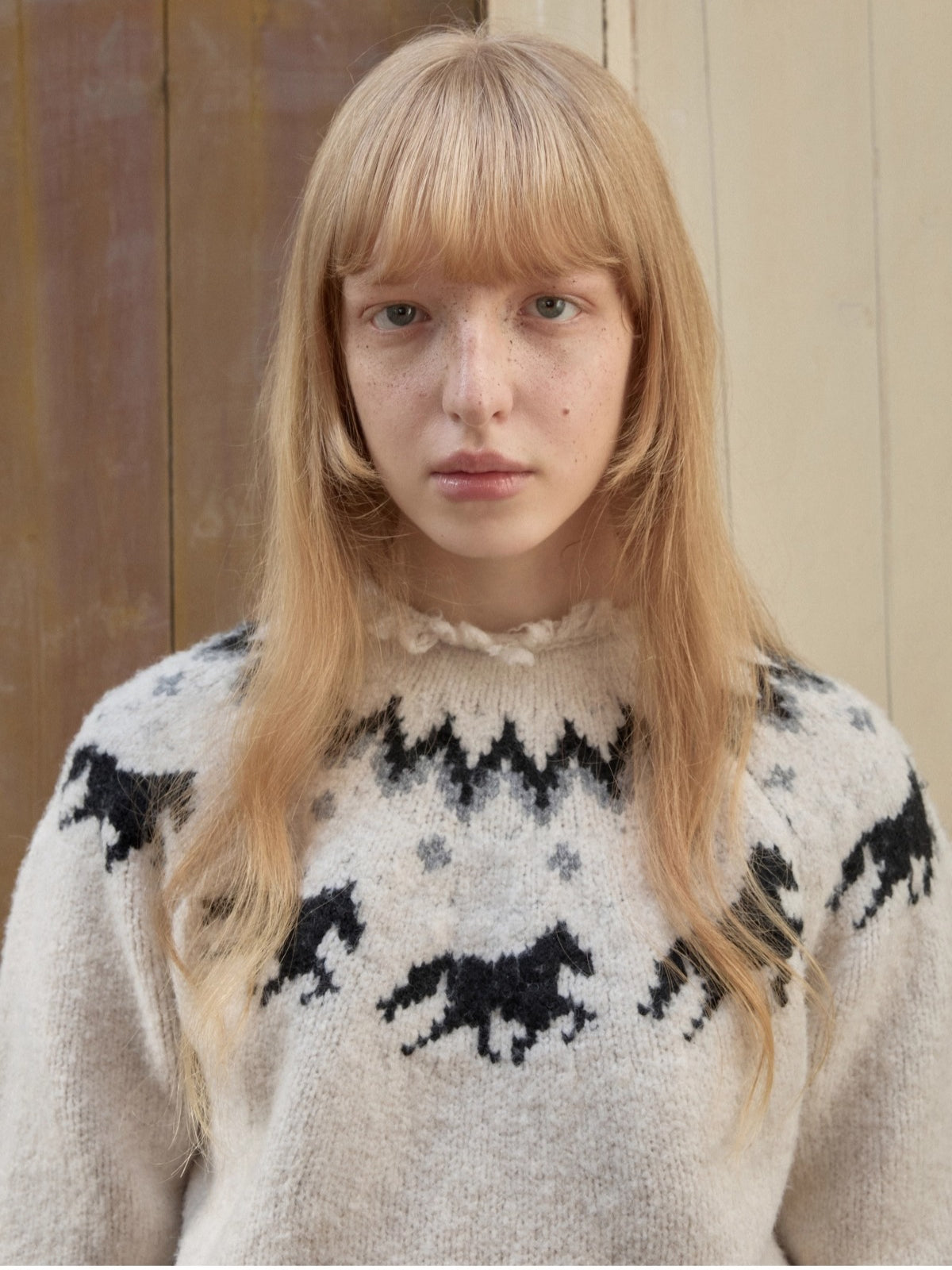 Fair Isle Pony Jacquard Chunky Knit Sweater