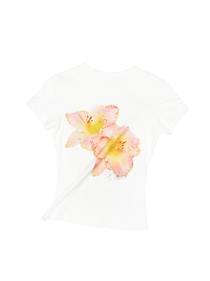 Daylily / XS