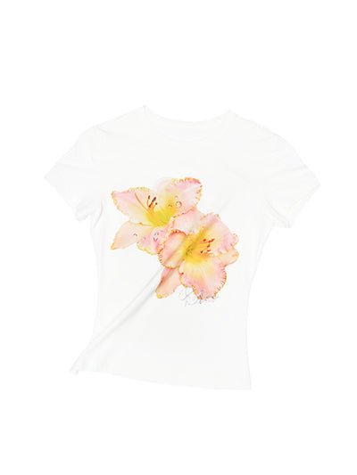 Daylily / XS