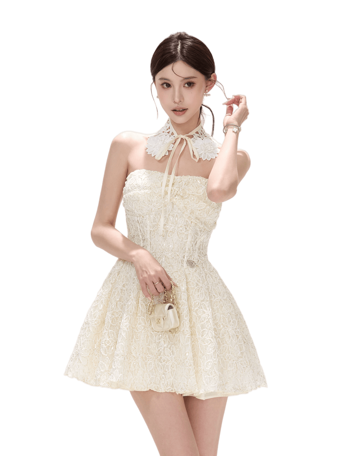 Seine Garden Embroidered Lace Mini Dress