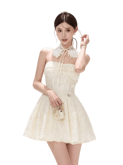 Seine Garden Embroidered Lace Mini Dress