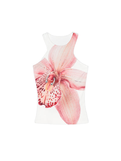 Moth Orchid / S