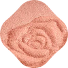 Floral Dew Care Cream to Powder Blush