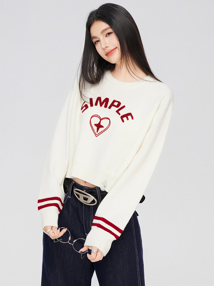 3D Embroidered Distressed Sweater