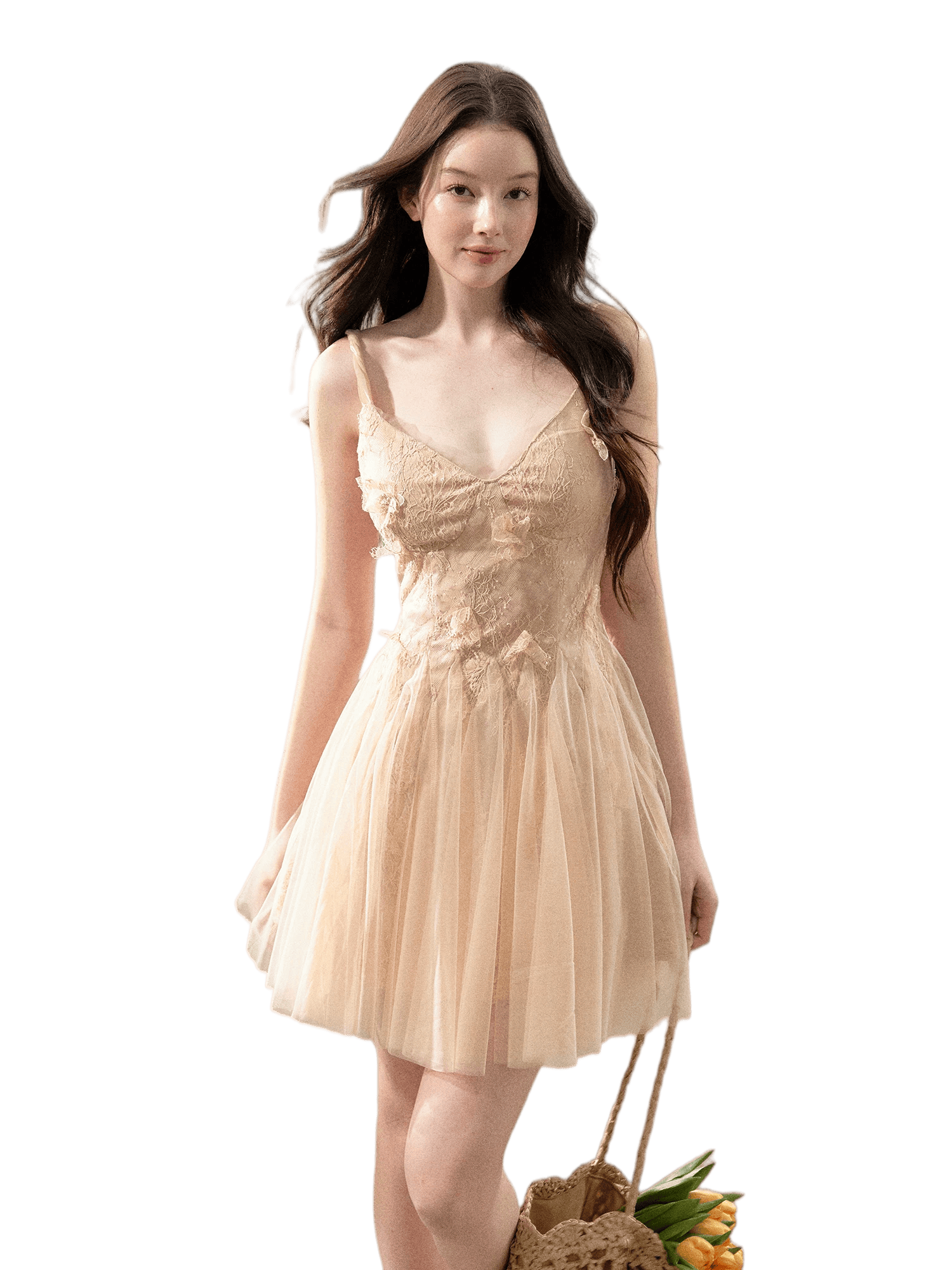 Blush Floral Lace Tulle Mini Dress