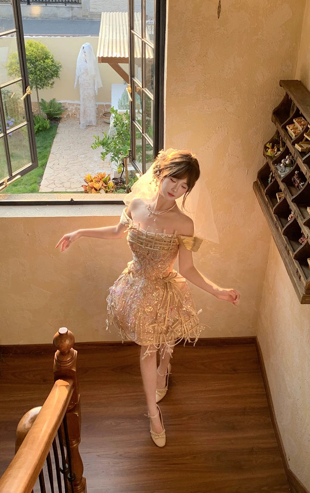 Annie Princess Embellished Tulle Dress with Lace Details