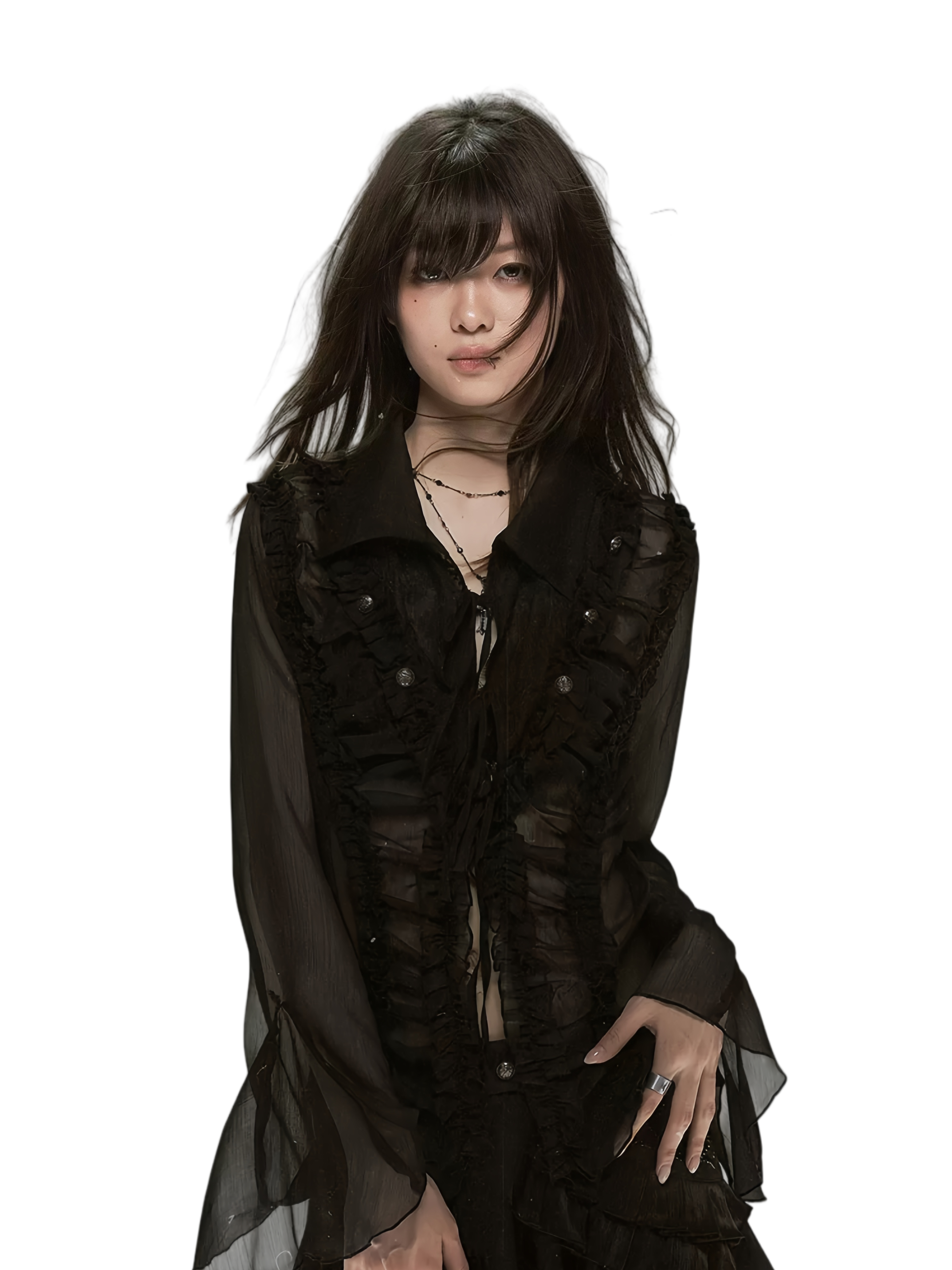 Cest Nous Palace Chiffon Lace Shirt – Shirts