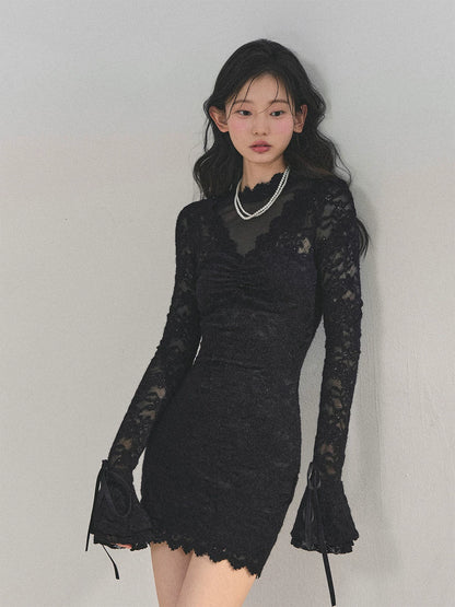 Lace Mesh Long-Sleeve Mini Dress