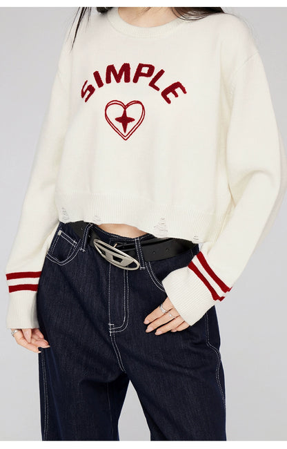 3D Embroidered Distressed Sweater