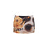 Big Nose Dog & Lap Cat Satin Printed Mini Skirt - CHINASQUAD