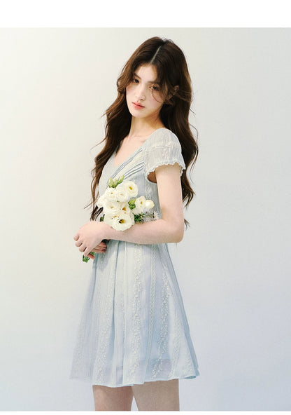 Vintage Lace Panel V-Neck Dress