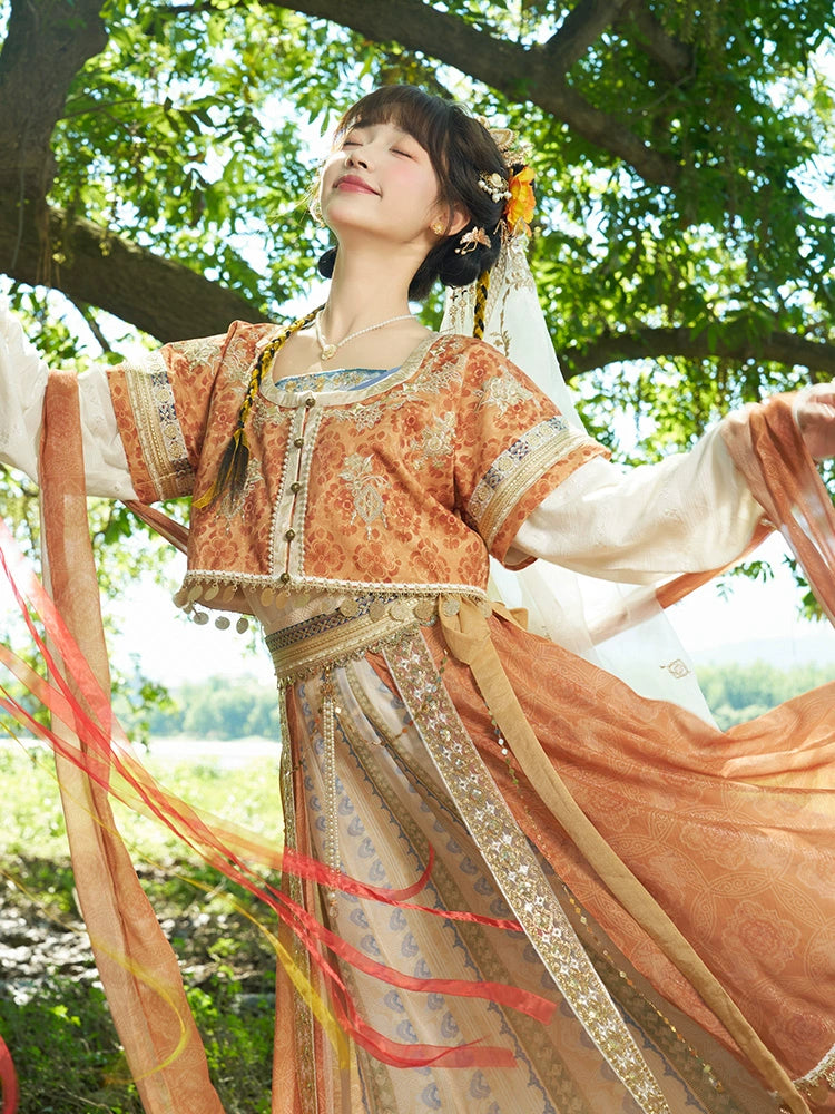 &quot;天竺诗音&quot; Tang Dynasty Hanfu Set