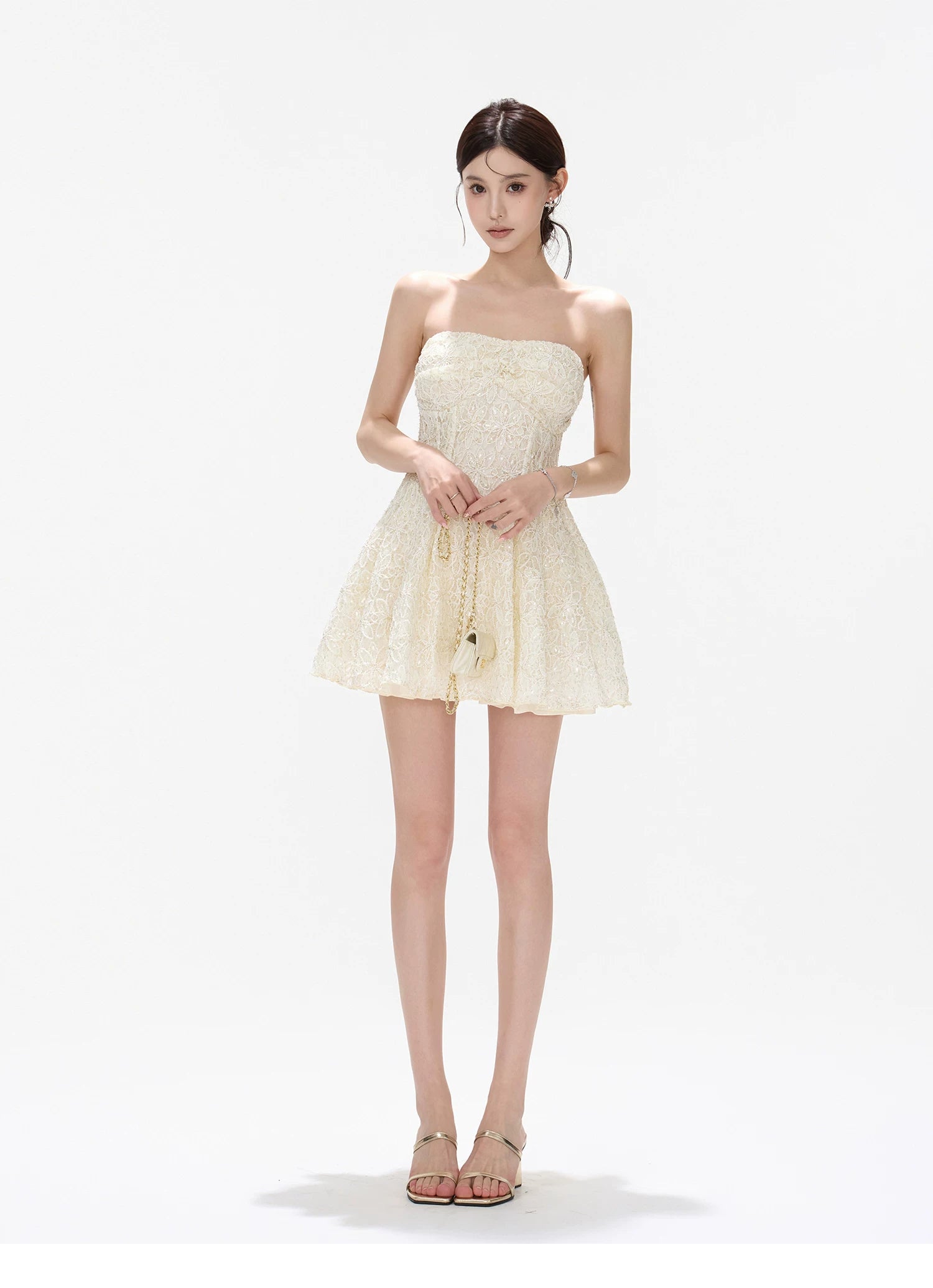 Seine Garden Embroidered Lace Mini Dress