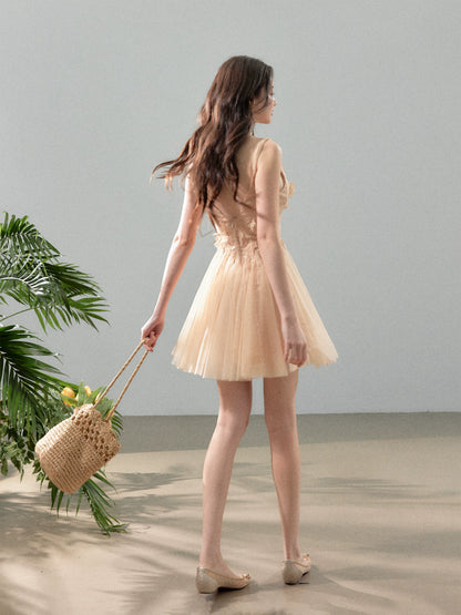 Blush Floral Lace Tulle Mini Dress